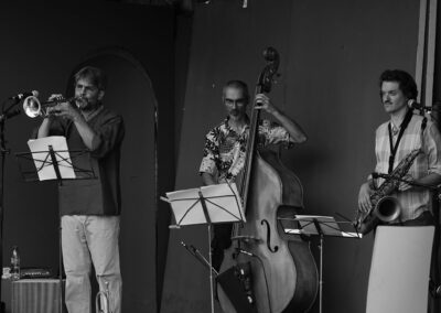 Les pages musicales. Le trio Jan Schumacher